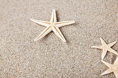 《MLB The Show 24》豪华版公开 美亚预购已开启